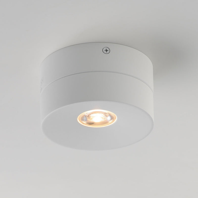 Swinger Adjustable LED Flush Mount in White