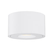 Fulcrum LED Flush Mount with Gimbal in White