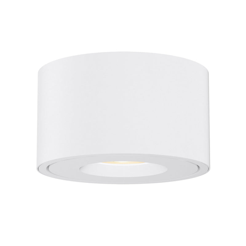 Fulcrum LED Flush Mount with Gimbal in White