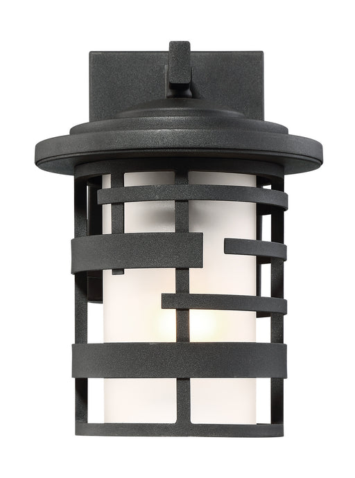 Lansing 1-Light 10" Outdoor Lant in Textured Black