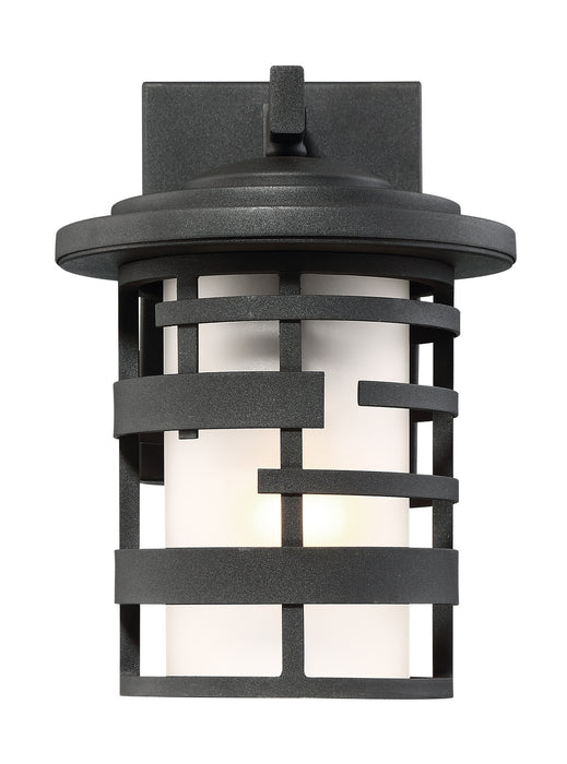 Lansing 1-Light 10" Outdoor Lant in Textured Black