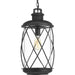 Hollingsworth One Light Hanging Lantern in Black