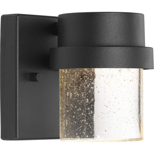 Z-1060 LED Clear Seeded Outdoor Wall Sconce in Black
