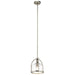 Mini Pendant 1-Light in Brushed Nickel