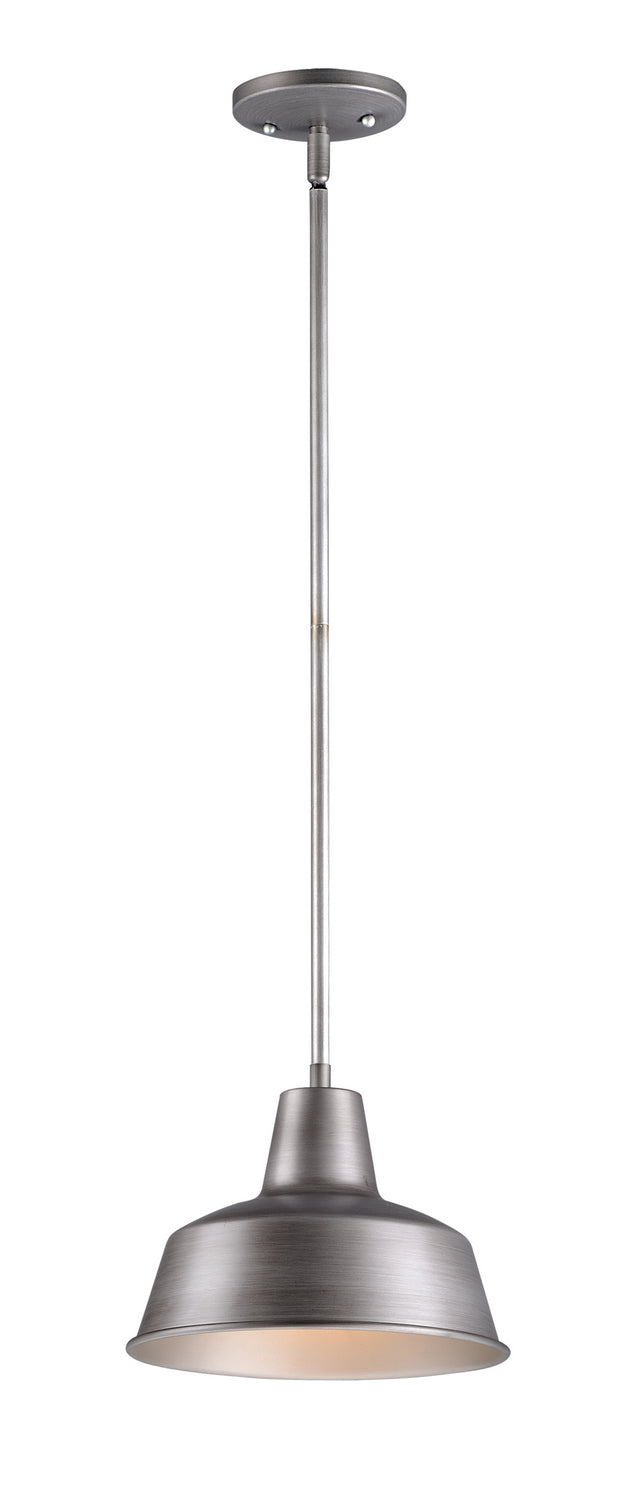 Pier M One Light Outdoor Pendant in Weathered Zinc