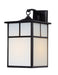 Coldwater One Light Outdoor Wall Lantern in Black