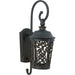 Whisper Dark Sky LED LED Outdoor Wall Sconce in Bronze