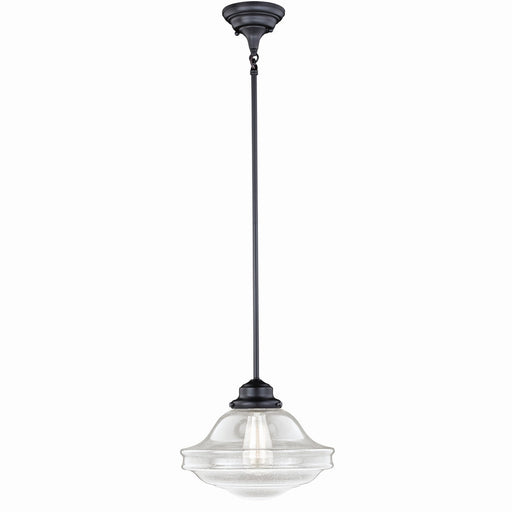 Huntley 12" Pendant in Oil Rubbed Bronze with Clear Seeded Glass