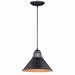 Outland 10" Outdoor Pendant Light in Outer Aged Iron with Inner Light Gold