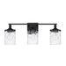 Colton 3-Light Vanity in Matte Black - Lamps Expo