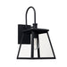 Belmore 1 Light Outdoor Wall Lantern in Black