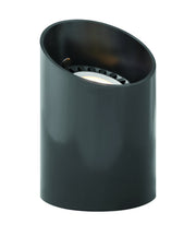 PAR36 12V Well Light in Black