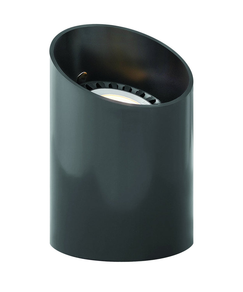 PAR36 12V Well Light in Black