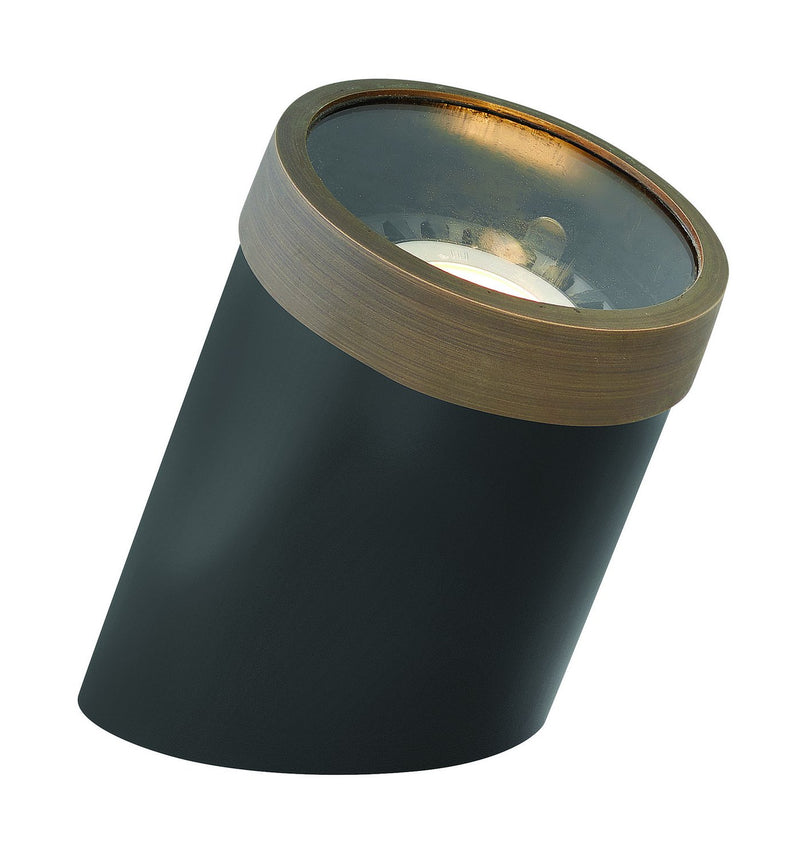 PAR36 12V Well Light in Matte Bronze