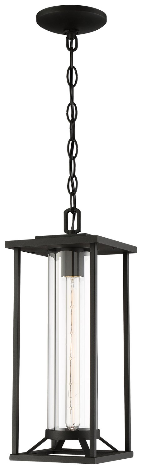 Trescott Outdoor Lantern Pendant in Coal