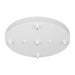 Multi-Port Canopy Five Light Cluster Canopy in White