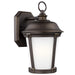 Calder Medium 1-Light Outdoor Wall Lantern - Lamps Expo