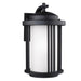 Crowell One Light Outdoor Wall Lantern in Black