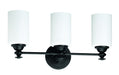 Dardyn 3-Light Vanity Light - Lamps Expo