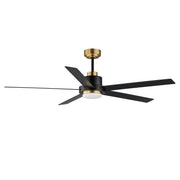 Daisy 60" 5-Blade Ceiling Fan with LED Light Kit in Black / Gold