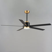 Daisy 60" 5-Blade Ceiling Fan with LED Light Kit in Black / Gold