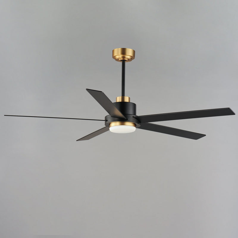 Daisy 60" 5-Blade Ceiling Fan with LED Light Kit in Black / Gold