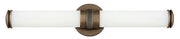 Remi 23.75" Bath Vanity Light in Champagne Bronze