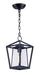 Artisan One Light Outdoor Hanging Lantern in Black