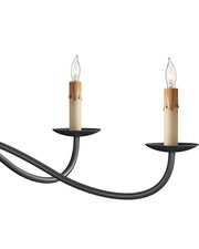 Saxon 5-Light Small Chandelier in Zanzibar Black