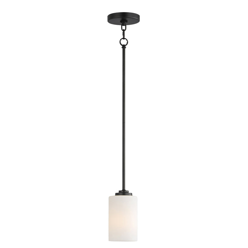Deven 1 Light Mini Pendant in Black