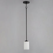 Deven 1 Light Mini Pendant in Black