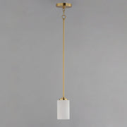 Deven 1 Light Mini Pendant in Satin Brass