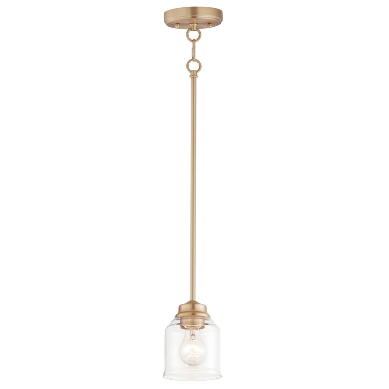 Acadia 1 Light Pendant in Heritage