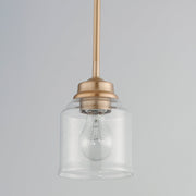 Acadia 1 Light Pendant in Heritage