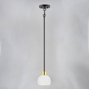 Coraline 1 Light Mini Pendant in Bronze / Satin Brass