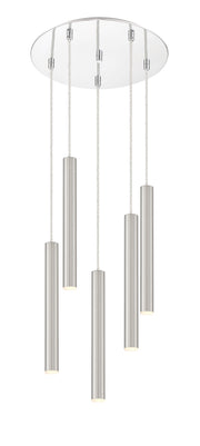 Forest 5 Light 13.5" Pendant, 12" Tall in Brushed Nickel