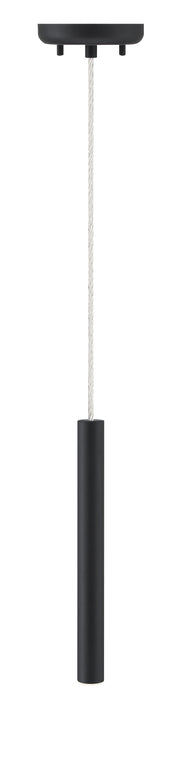Forest 1 Light 4.75" Pendant, 917 Series, 12" Tall in Matte black