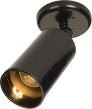 Spots 1 Light Outdoor Wall or Flush Mount Can in Black