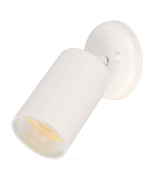 Spots 1 Light Outdoor Wall or Flush Mount Can in White