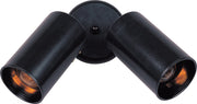 Spots 2 Light Outdoor Wall or Flush Mount Can in Black