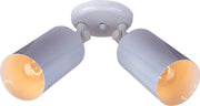 Spots 2 Light Outdoor Wall or Flush Mount Can in White