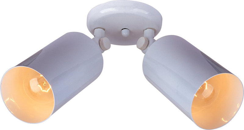 Spots 2 Light Outdoor Wall or Flush Mount Can in White