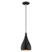 1 Light Mini Pendant in Shiny Black