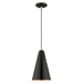 1 Light Mini Pendant in Shiny Black