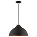 1 Light Mini Pendant in Black