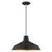 1 Light Mini Pendant in Black