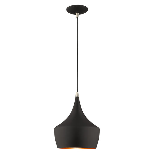 1 Light Mini Pendant in Black