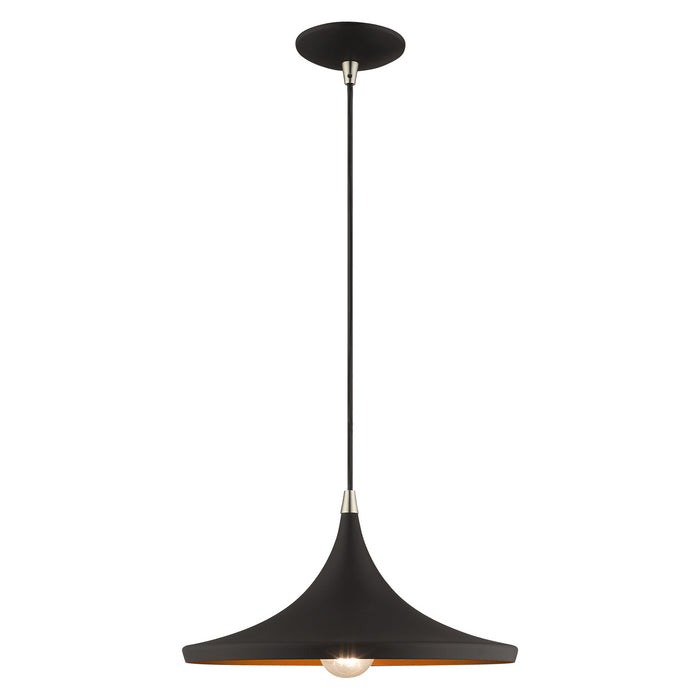1 Light Mini Pendant in Black