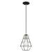 1 Light Mini Pendant in Black