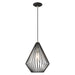 1 Light Mini Pendant in Black